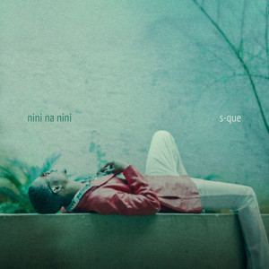 Nini Na Nini