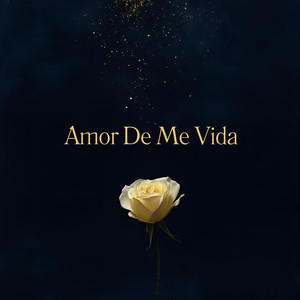 Amor De Me Vida (Live)