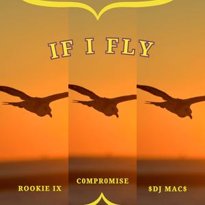 If I Fly (feat. ROOKIE IX & $DJ MAC$) (Explicit)