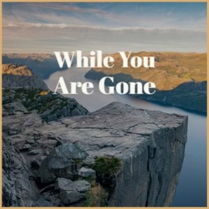 While You Are Gone