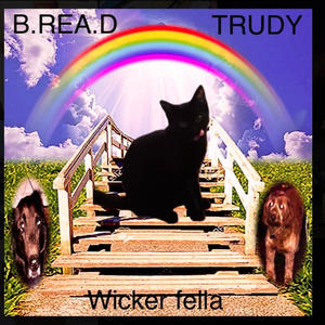 Wicker Fella FT. Trudy (Explicit)