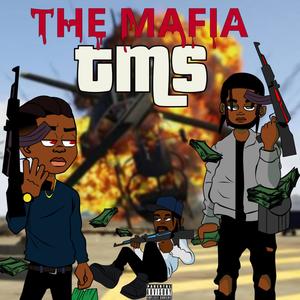 T.M.S(talkin my Shit) (Explicit)