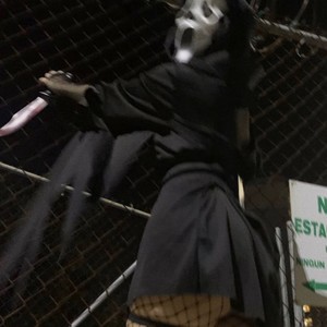 Dog pound (feat. Renkika & Diorr_marcus) (Explicit)