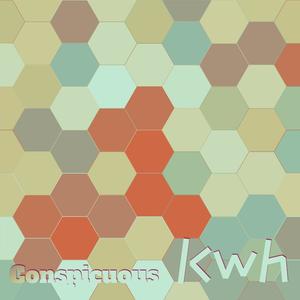 Conspicuous Kwh