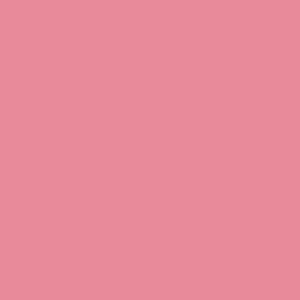 BL4NK TAPE #6 (Explicit)