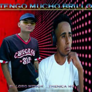 Tengo mucho Brillo (feat. El Lobo Menor)