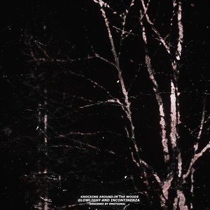 Knocking Around In The Woods (Original Mix)