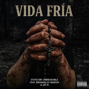 Static Mr. Unbreakable - Vida Friá (feat. Briannalee, Abadon & Jay R:.) (Explicit)