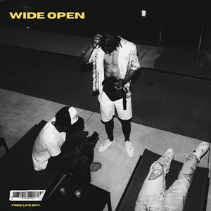 Wide Open (feat. JantzJantz & Dreslok) (Explicit)