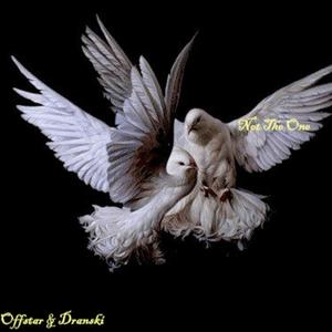 Not The One (feat. Dranski) (Explicit)