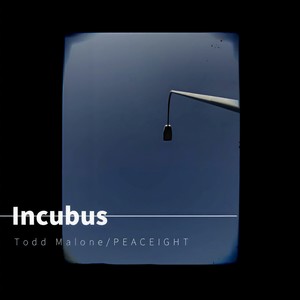 Incubus (Feat.PEACEIGHT)