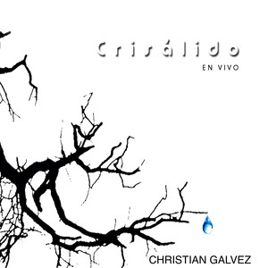 Crisalido (live)