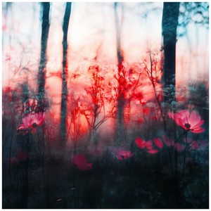 Call me sweety, Call me honey