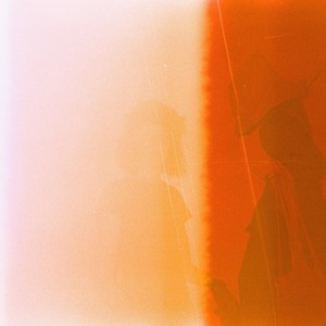 ג׳ונגל מבטון