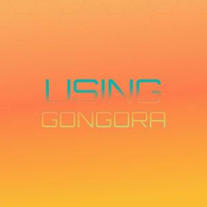 Using Gongora