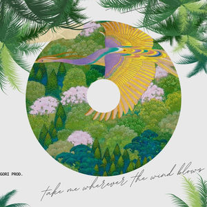 Take me wherever the wind blows