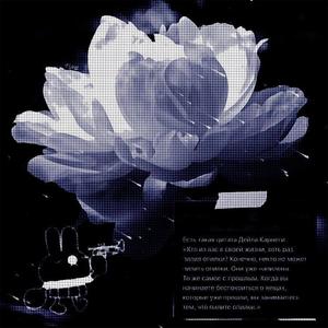 Intuitive (Explicit)