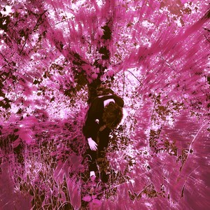 ROSE QUARTZ (feat. Vaeo) (Explicit)