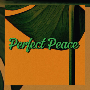 Perfect Peace