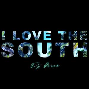 I Love the South (Explicit)