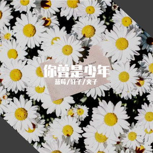 你曾是少年 (COVER版)