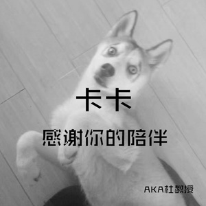 卡卡 谢谢你的陪伴