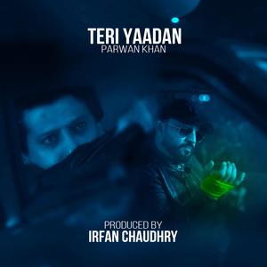 Teri Yaadan (feat. Irfan Chaudhry)