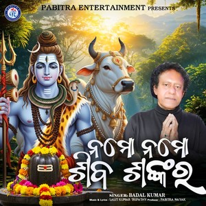 Namo Namo Shiva Shankara