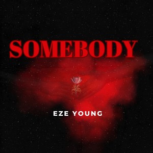 Somebody