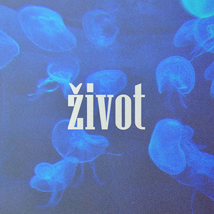 Život (Vintage)
