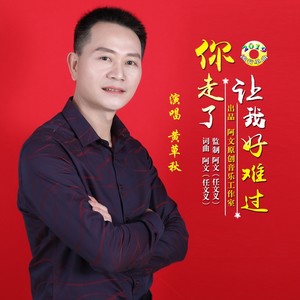 你走了让我好难过