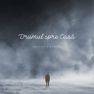 Drumul Spre Casă