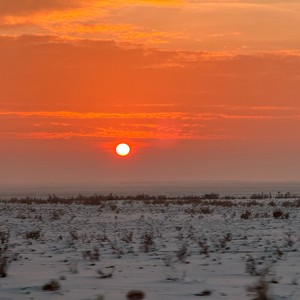 阿尔泰的冬 (Demo)