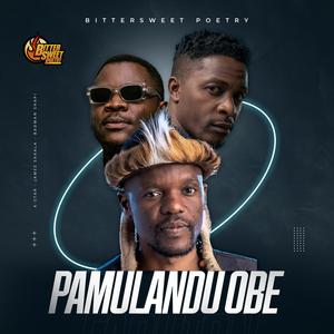 Pamulandu Obe (feat. James Sakala & Badman Shapi)