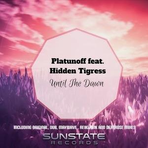 Until the Dawn (Reiklavik Remix)