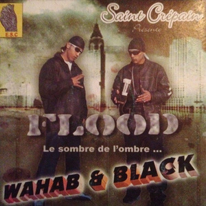 Flood le sombre de l'ombre