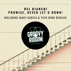 Promise, Never Let U Down! (Iñaky Garcia Remix)