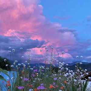 许我耀眼（我的光芒不为谁闪耀）