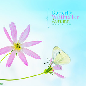 가을을 기다리는 나비 (Butterfly Waiting For Autumn)