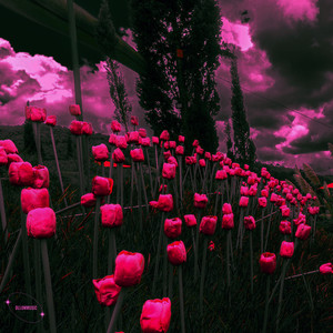 Un La La La (LIL 44 & Alu El Tiburón Remix|Explicit)