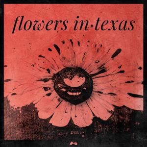 Flowers In Texas