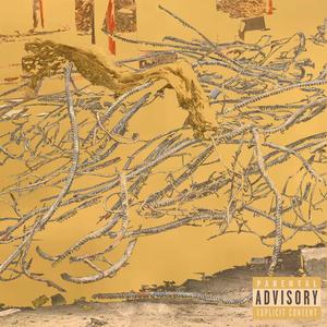 静YES (feat. popogo & CNdY) (Explicit)