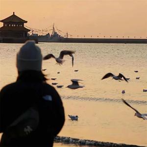 真的爱上你 (DJ版)