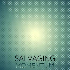 Salvaging Momentum