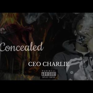 Concealed (Explicit)