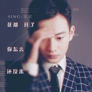 花都开了你怎么还没有来 (DJ阿卓版)