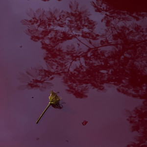 boniká pero apená (Explicit)