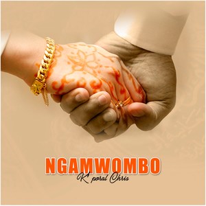 Ngamwombo