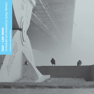 Csárdás macabre, S. 224