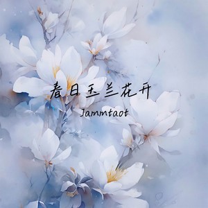春日玉兰花开